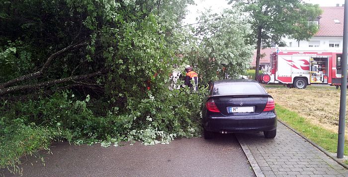umgestürzter Baum touchiert geparkten PKW